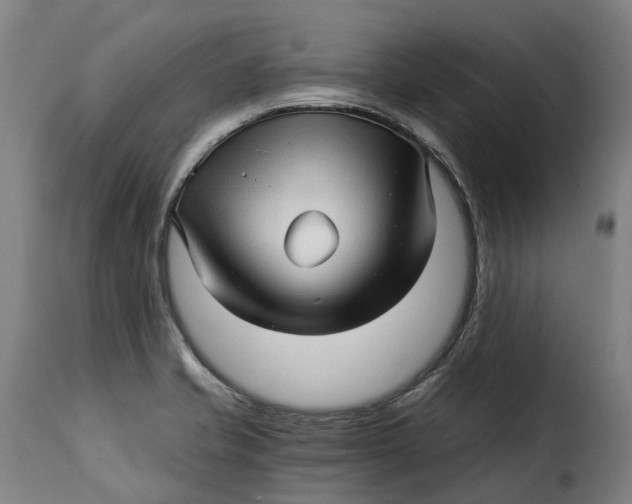 X0000115271421200911201718