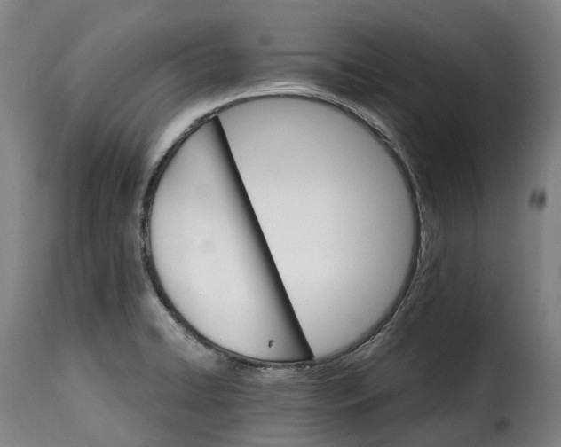 X0000115271422200911201718