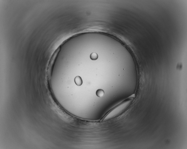 X0000115271423200911201718