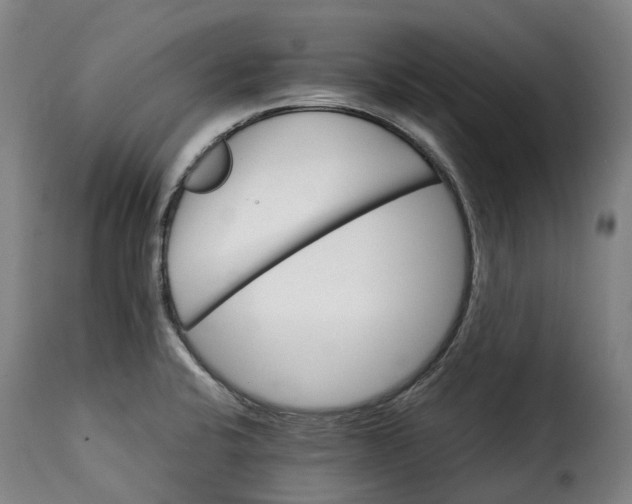 X0000115271424200911201718