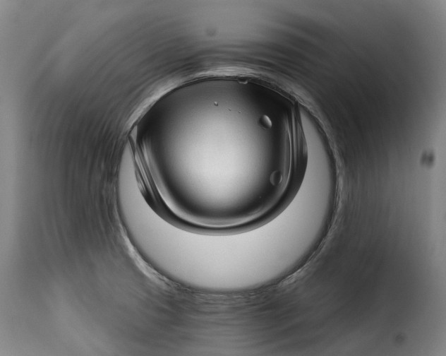 X0000115271425200911201718