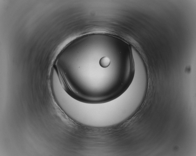 X0000115271427200911201718