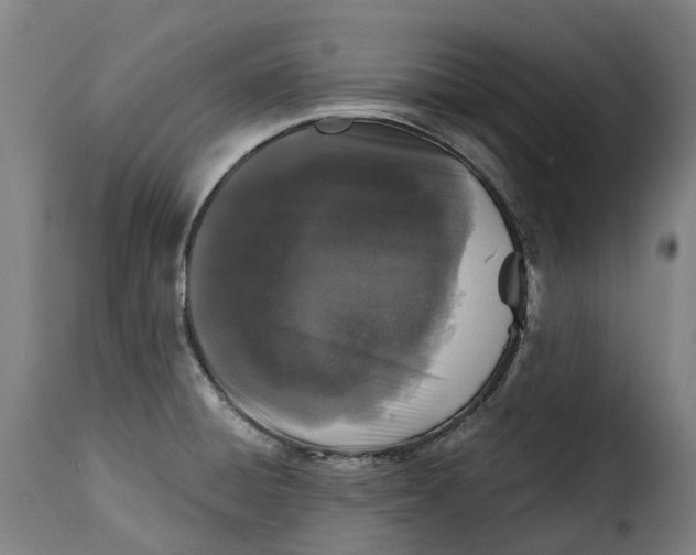 X0000115271428200911201718