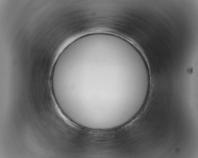 X0000115271429200911201718