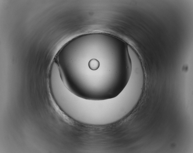 X0000115271431200911201718