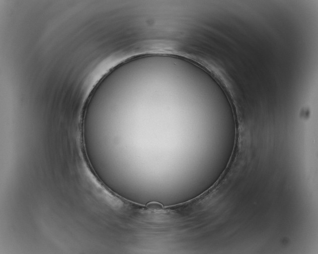 X0000115271432200911201718