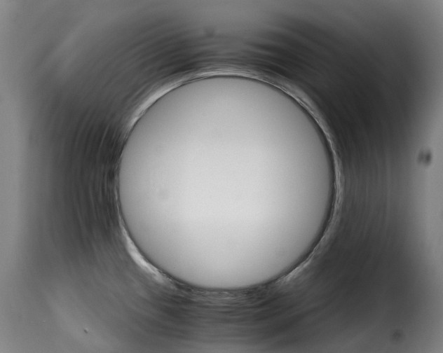 X0000115271433200911201718