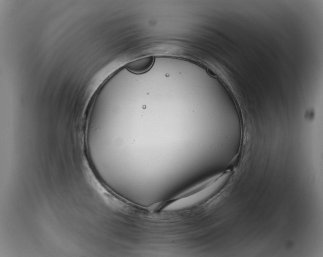 X0000115271434200911201718