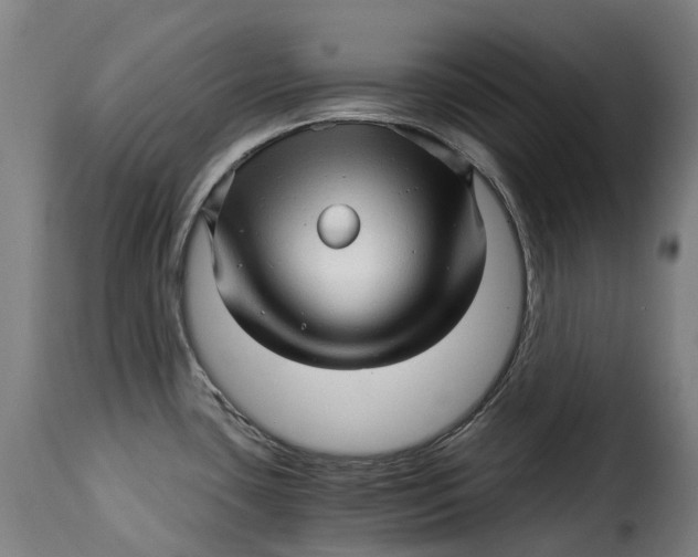 X0000115271435200911201718