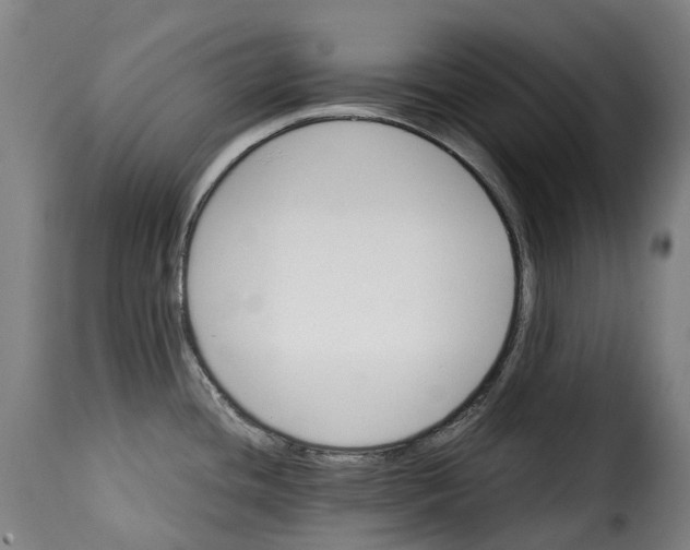 X0000115271436200911201718