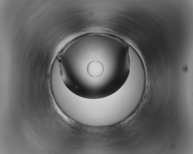 X0000115271437200911201718