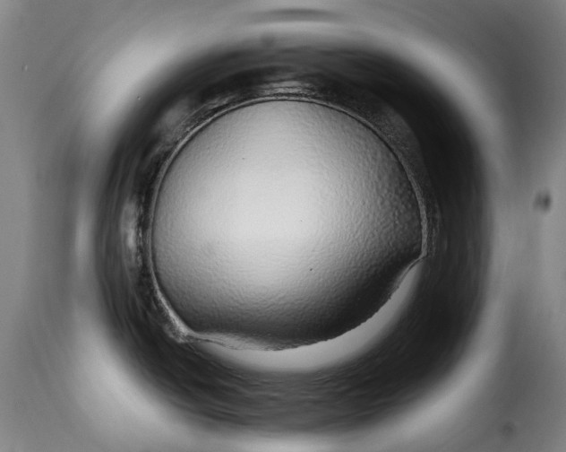 X0000115271438200911201718