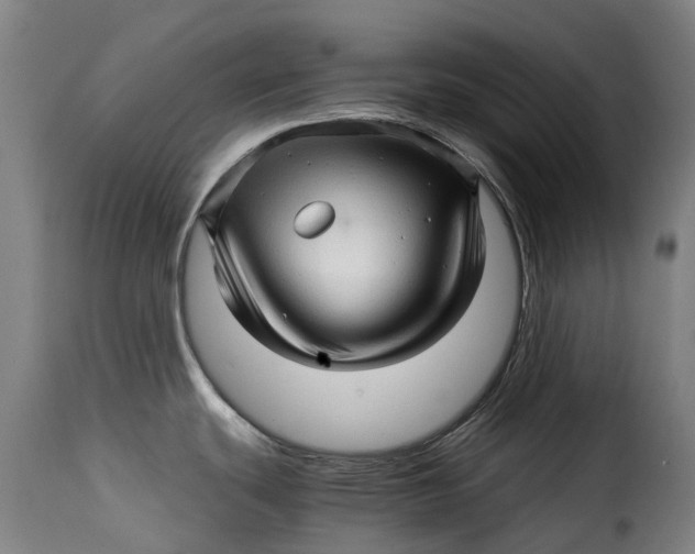 X0000115271439200911201718