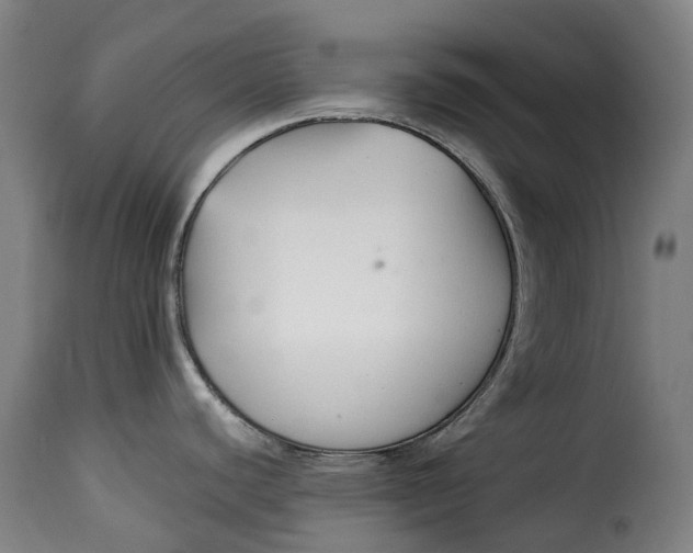 X0000115271440200911201718
