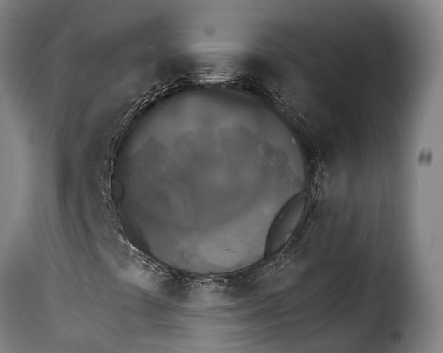 X0000115271441200911201718