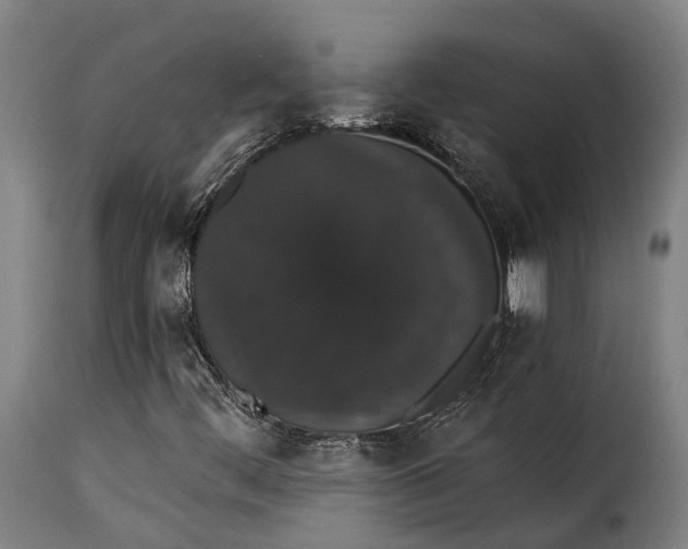 X0000115271444200911201718