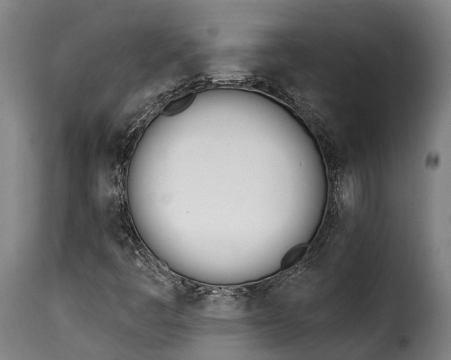 X0000115271445200911201718