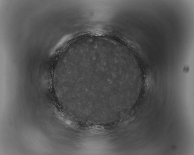 X0000115271446200911201718