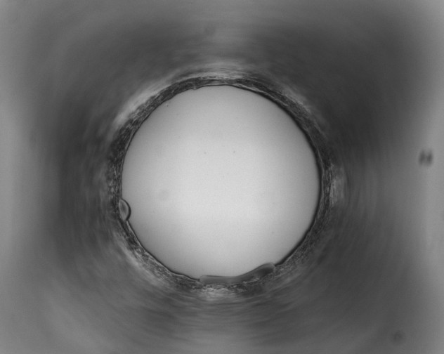 X0000115271448200911201718