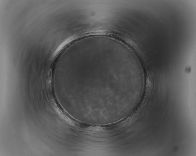X0000115271450200911201718