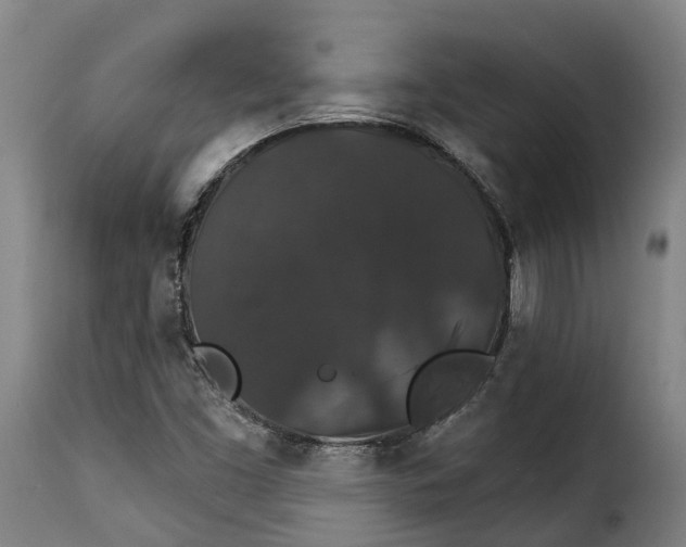 X0000115271453200911201718