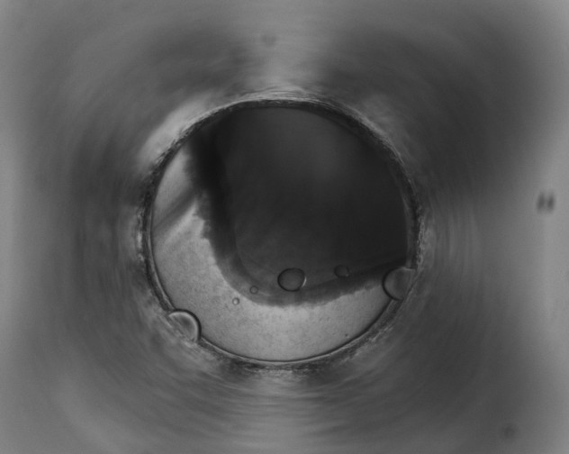 X0000115271455200911201718