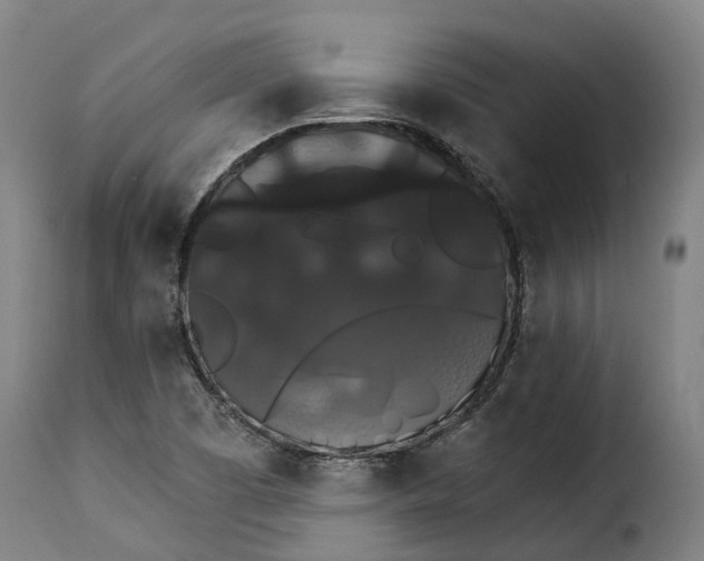 X0000115271457200911201718