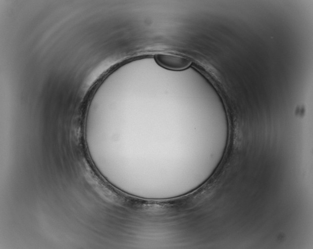X0000115271458200911201718