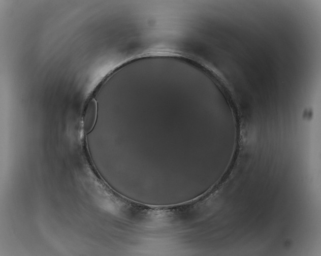 X0000115271461200911201718