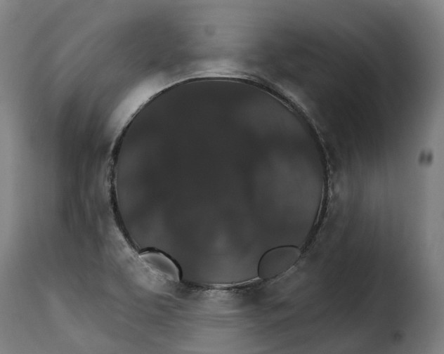 X0000115271463200911201718
