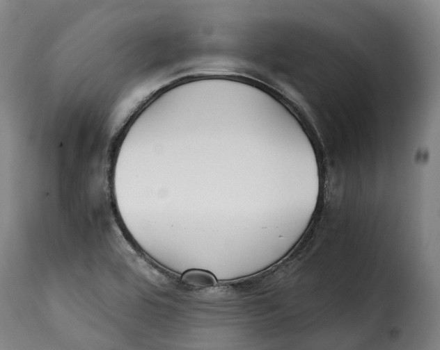 X0000115271464200911201718