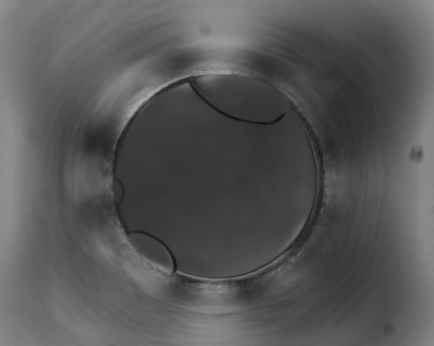 X0000115271465200911201718