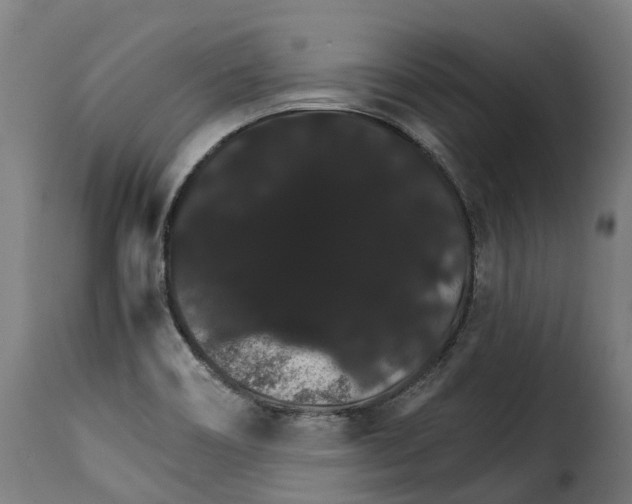 X0000115271466200911201717