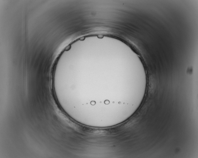 X0000115271467200911201717