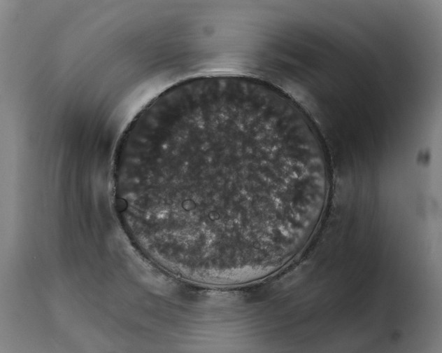 X0000115271469200911201717