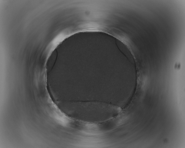 X0000115271472200911201717