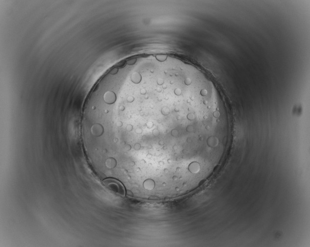 X0000115271473200911201717
