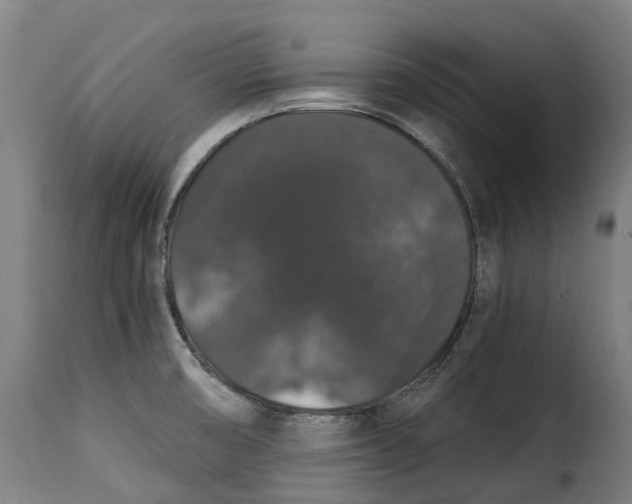 X0000115271474200911201717