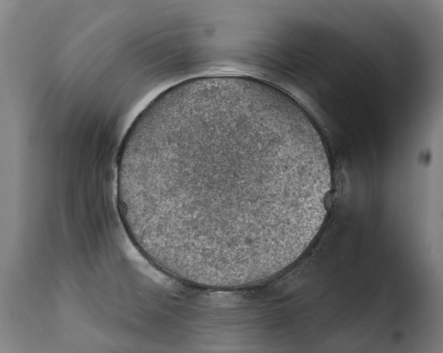 X0000115271476200911201717