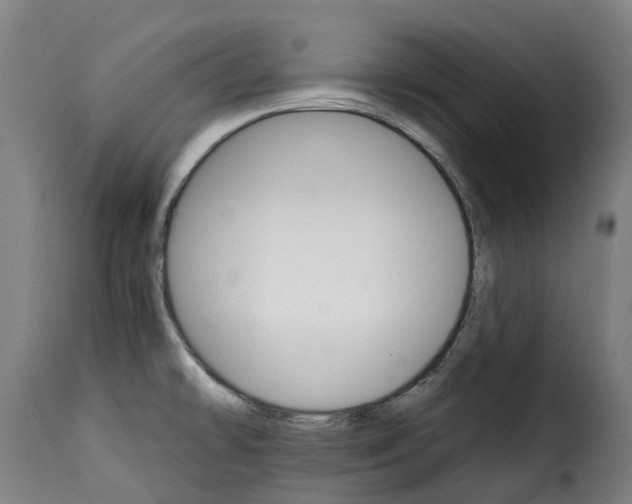 X0000115271478200911201717