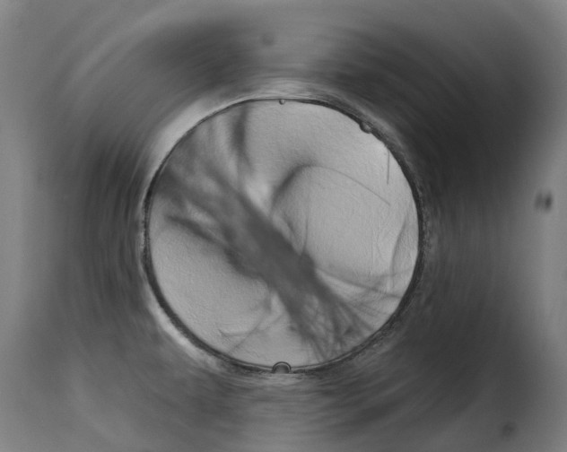 X0000115271479200911201717