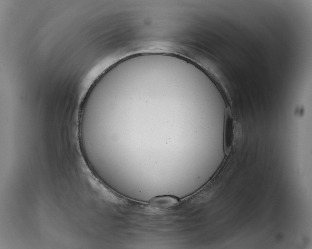 X0000115271480200911201717