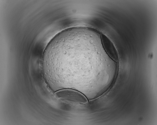 X0000115271481200911201717