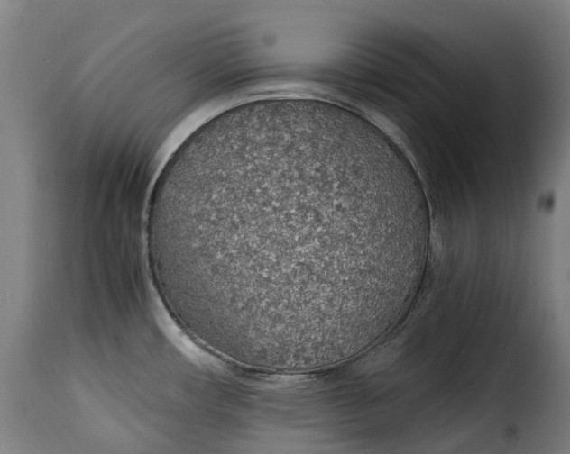 X0000115271482200911201717