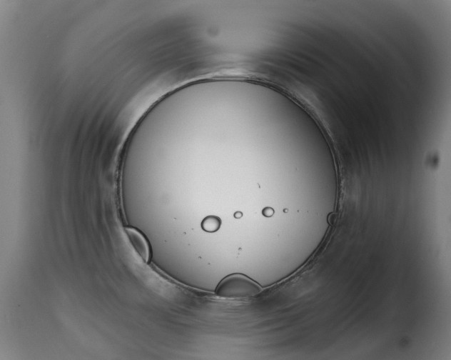 X0000115271483200911201717