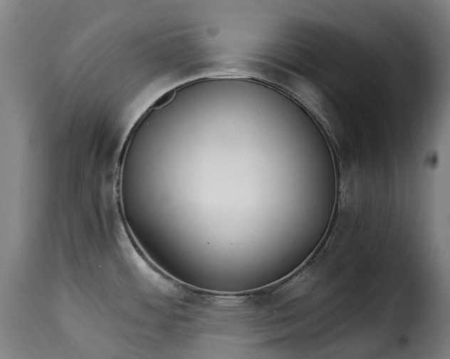 X0000115271484200911201717