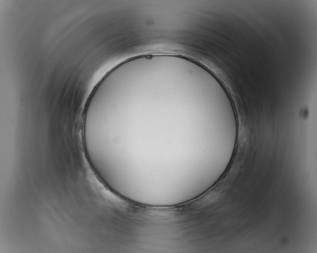 X0000115271486200911201717