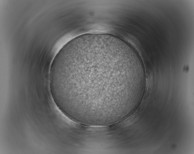 X0000115271487200911201717