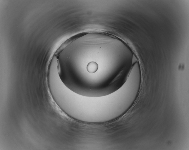 X0000115271488200911201717