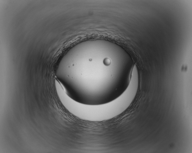 X0000115271491200911201717